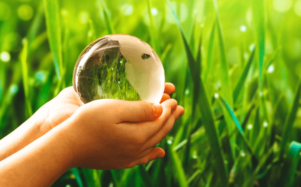 Sustainability
