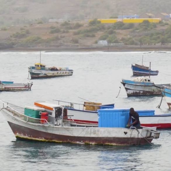 iib West Africa issues the first Blue Bonds in West Africa