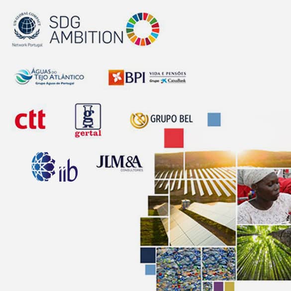 iib West Africa partnered in United Nations Global Compact SDG Ambition 2023/24 program